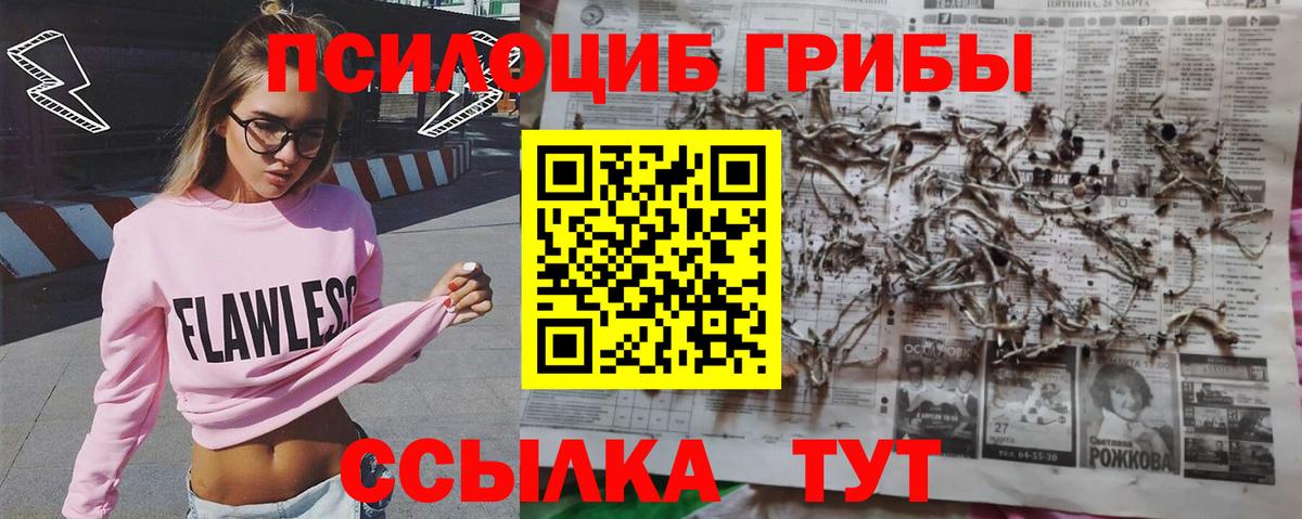 Галлюциногенные грибы прущие грибы Зеленодольск